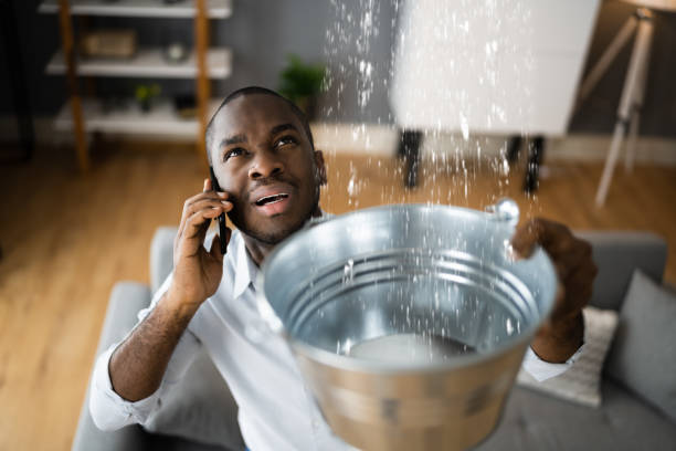 Best 24/7 water damage repair  in Amityville, NY