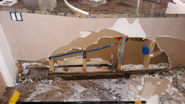Best Water damage cleanup near me  in Amityville, NY