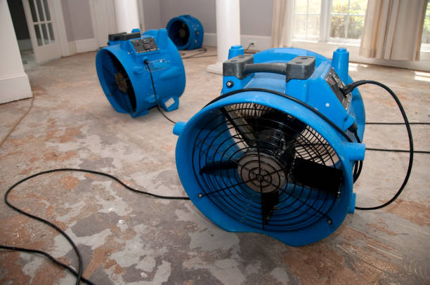 Best Sewage cleanup and water damage restoration  in Amityville, NY