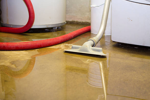Best Flood damage cleanup  in Amityville, NY