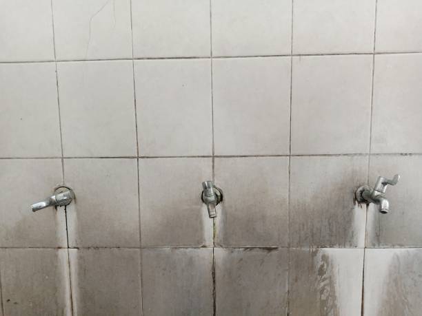 Best Water damage restoration company  in Amityville, NY