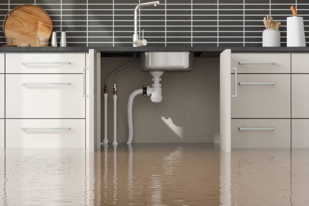 Best Water damage restoration experts  in Amityville, NY