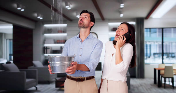Best Carpet water damage restoration  in Amityville, NY