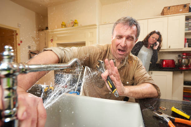 Best Mold removal after water damage  in Amityville, NY